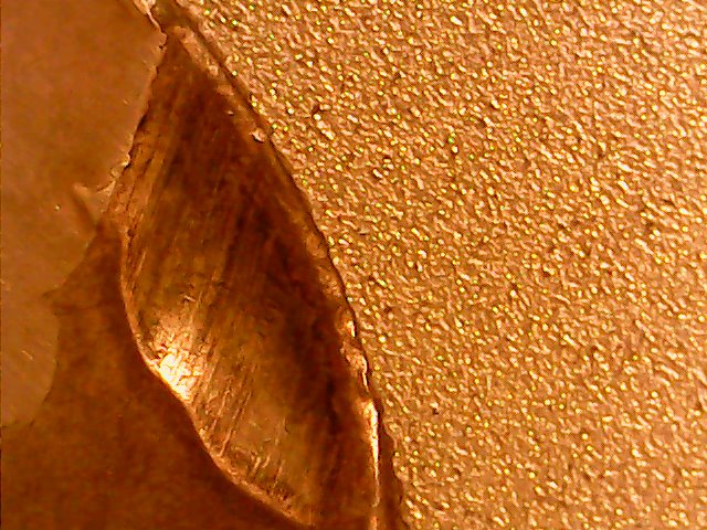 Possible-1966-Error-Kennedy?